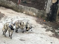 -南昌动物园
