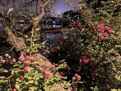 -东湖听涛景区