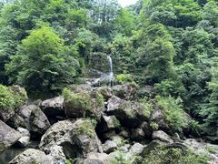 -龙苍沟森林公园