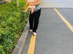 -菲司迪托育园(蛇口店)