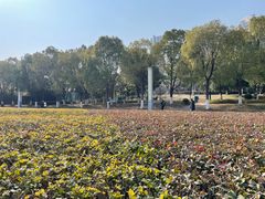 -汉江湾体育公园