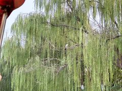 -南翠屏公园
