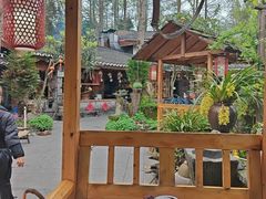 -青城甲(青城山店)
