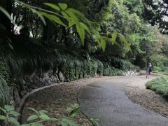 -叶家花园