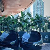 向群新店｜三十年历史，米其林推荐也只是锦上添花而已。