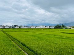 -喜林苑·稻田餐厅(品相府店)