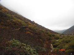 -黄龙山原始森林景区