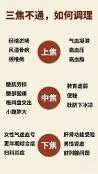 点击看大图 -玛莲朵·海菲秀冰珀科