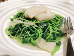 竹笙扒时蔬-皇朝会.经典传统粤菜(外滩店)
