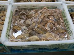-王四营海鲜市场