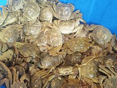 -阳澄湖大闸蟹·琼灵阁牌品牌连锁(吴中总店)