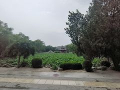 -莲池书院博物馆