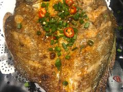 -九府羊·鲜羊火锅·烤串(新华路店)