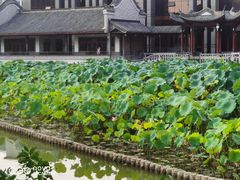 -龙潭水乡