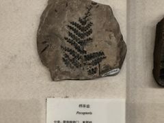-贵州省地质博物馆