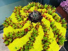 -南通洲际绿博园