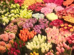 -双季花艺园艺市场(浦东店)