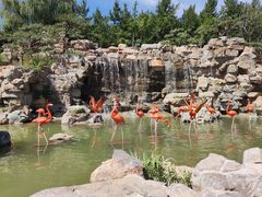 -济南野生动物世界