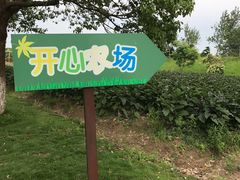 -上海都市菜园
