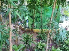-南宫五洲植物乐园
