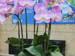 -中信银行(中天购物城店)