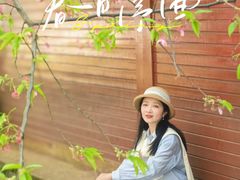 -东湖磨山景区樱花园-停车场