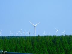 -黄海国家森林公园