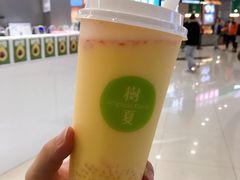 -树夏(来福士店)