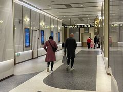 -英皇电影城(平安金融中心IMAX激光店)