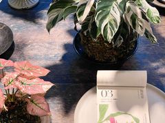 -自由生长植物工作室(深港花卉中心店)