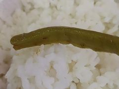 -蜀天上精专麻辣香锅(文定路店)