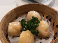 悦雅居虾饺皇-悦雅居·老广州老味道(长湖店)