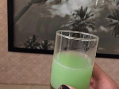 -椰树岛海滩度假村