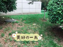-南京医科大学(江宁校区)