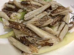 蟹柳烩芦笋-新光酒家·河豚·海鲜·蟹料理(浦东店)