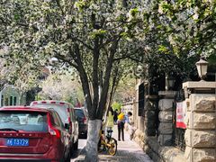 -天津五大道文化旅游区