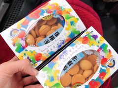-普陀长途客运中心