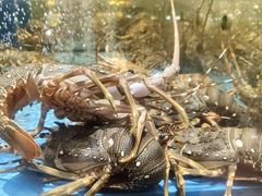 -阿伟海鲜楼·福建菜(延寿店)