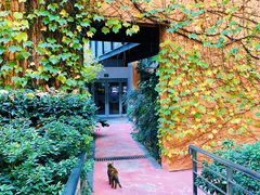 景观位-Wagas沃歌斯(大学路店)