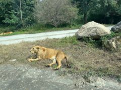 -西安秦岭野生动物园