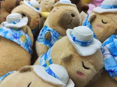 -深圳龙华星河COCO City(民治店)