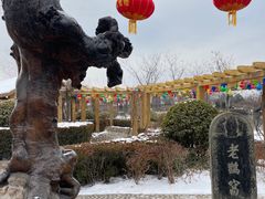 -大槐树寻根祭祖园