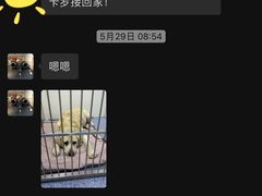 -美联众合动物医院·24h转诊中心