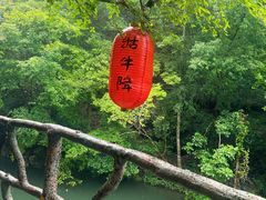 -石台牯牛降景区