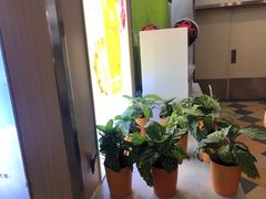 -鲜果时间·果蔬茶(赛格负二层店)