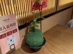 -阿强家川菜·29年老字号(岗顶店)