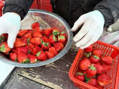 -水月周庄铂尔曼酒店-水月荟中餐厅