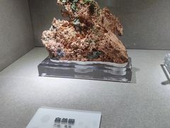 -陕西自然博物馆