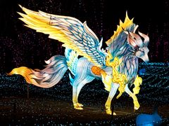 -珠海海泉湾神秘岛亲子乐园