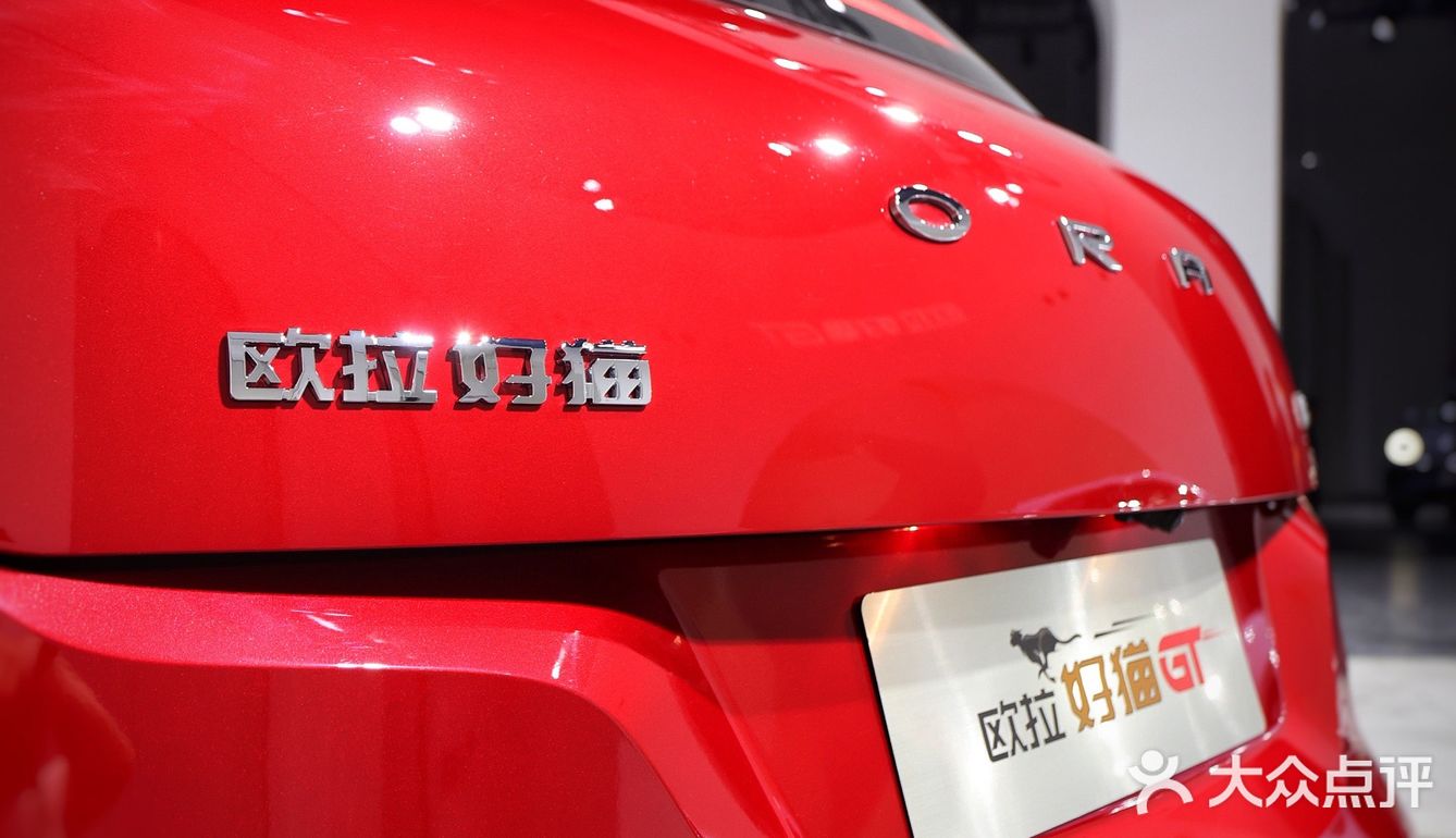 在北京摩卡艺术中心遇见“猫”